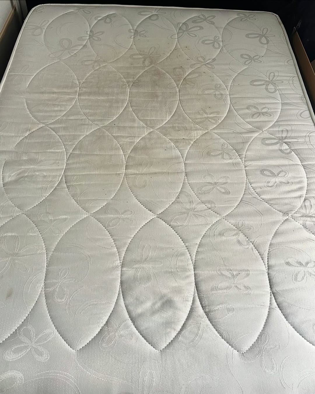 Canapé beige avant nettoyage à domicile  Brillio Liège