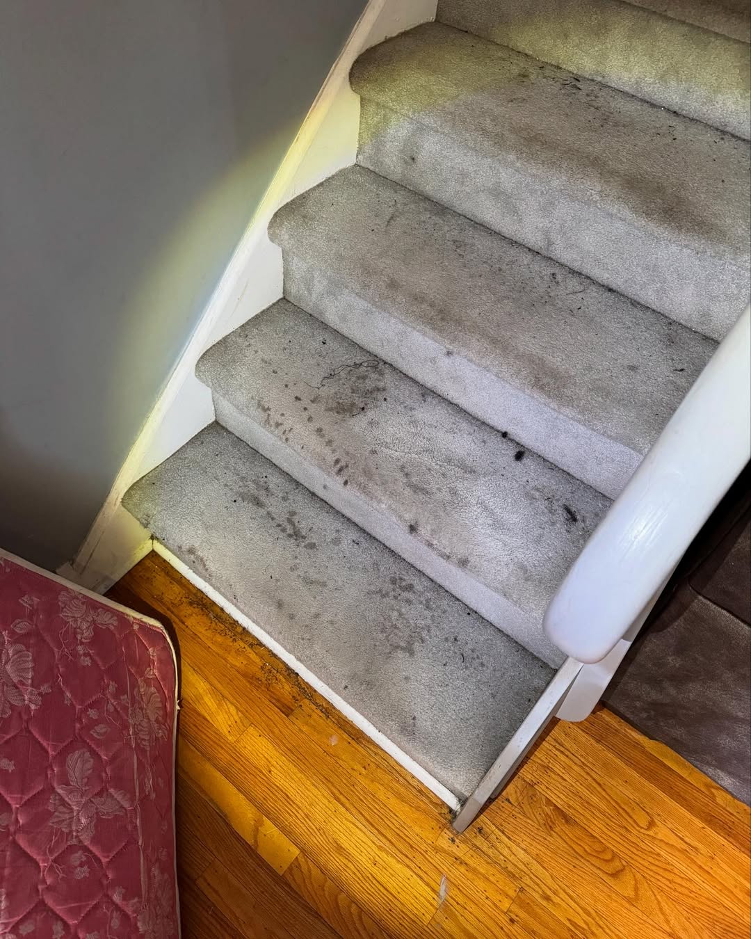 Canapé beige avant nettoyage à domicile  Brillio Liège