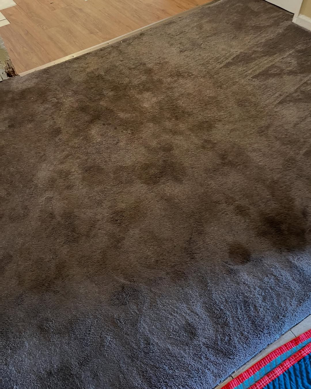 Canapé beige avant nettoyage à domicile  Brillio Liège